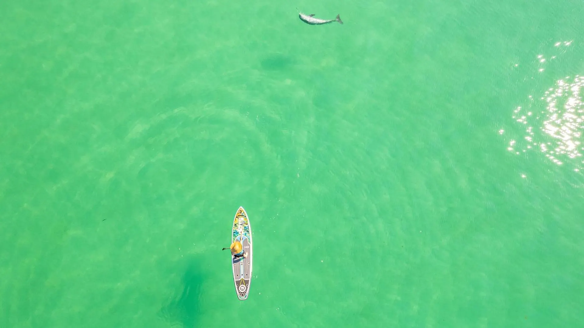 Apartment Sandpiper Cove 8208- By Holiday Isle Properties Destin
