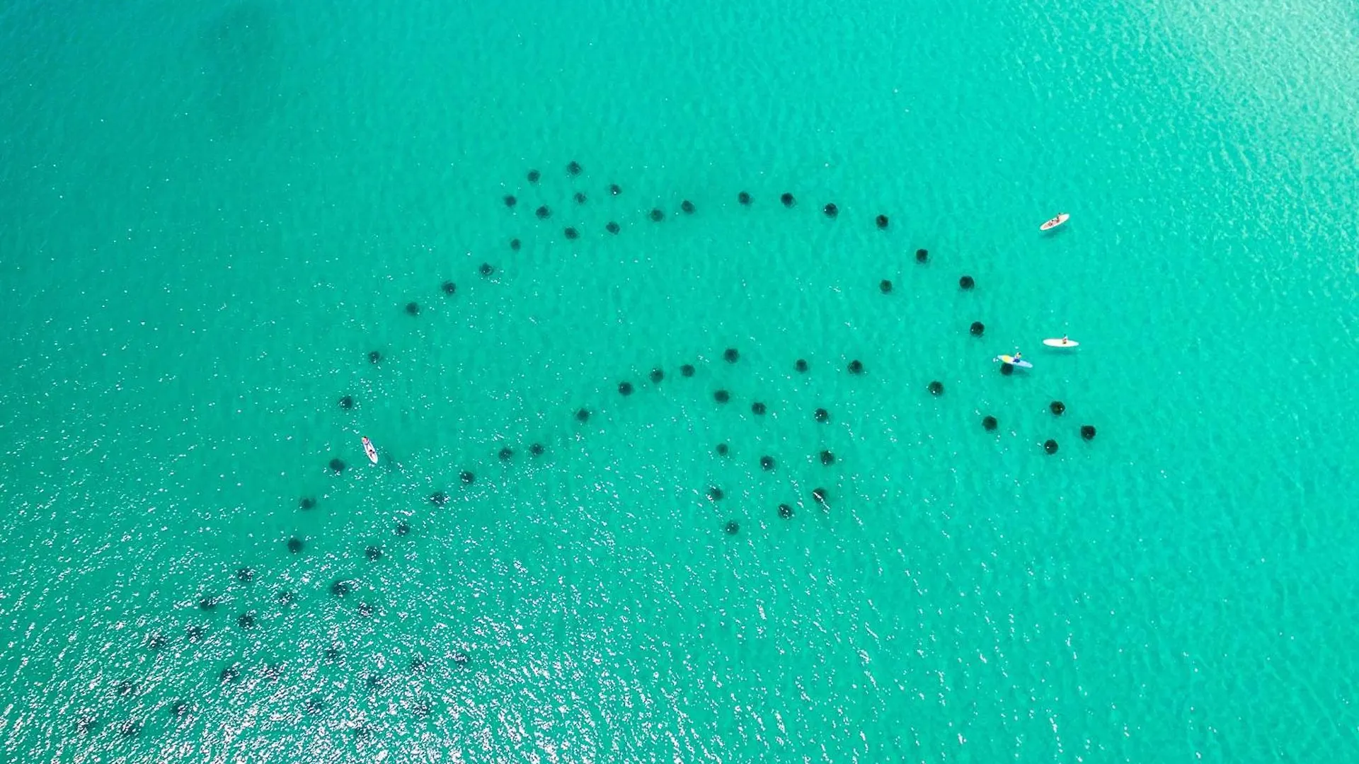 Sandpiper Cove 8208- By Holiday Isle Properties Destin United States